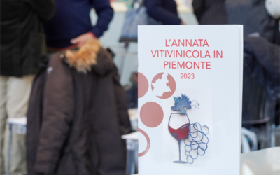 Annata vitivinicola 2023