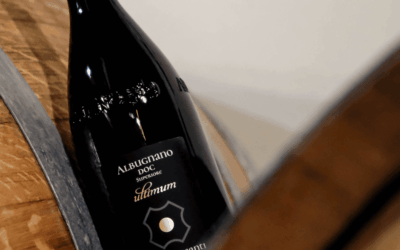 Cantina Terre dei Santi: la cooperazione piemontese nel mondo