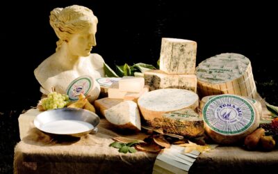 Dalla stalla al formaggio: la filiera corta della Latteria di Cameri