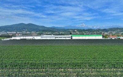 La filiera corta cooperativa protagonista a Terra Madre 2026